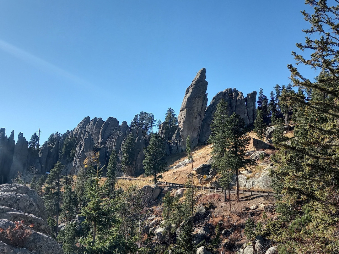 Black Hills National Forest景点图片