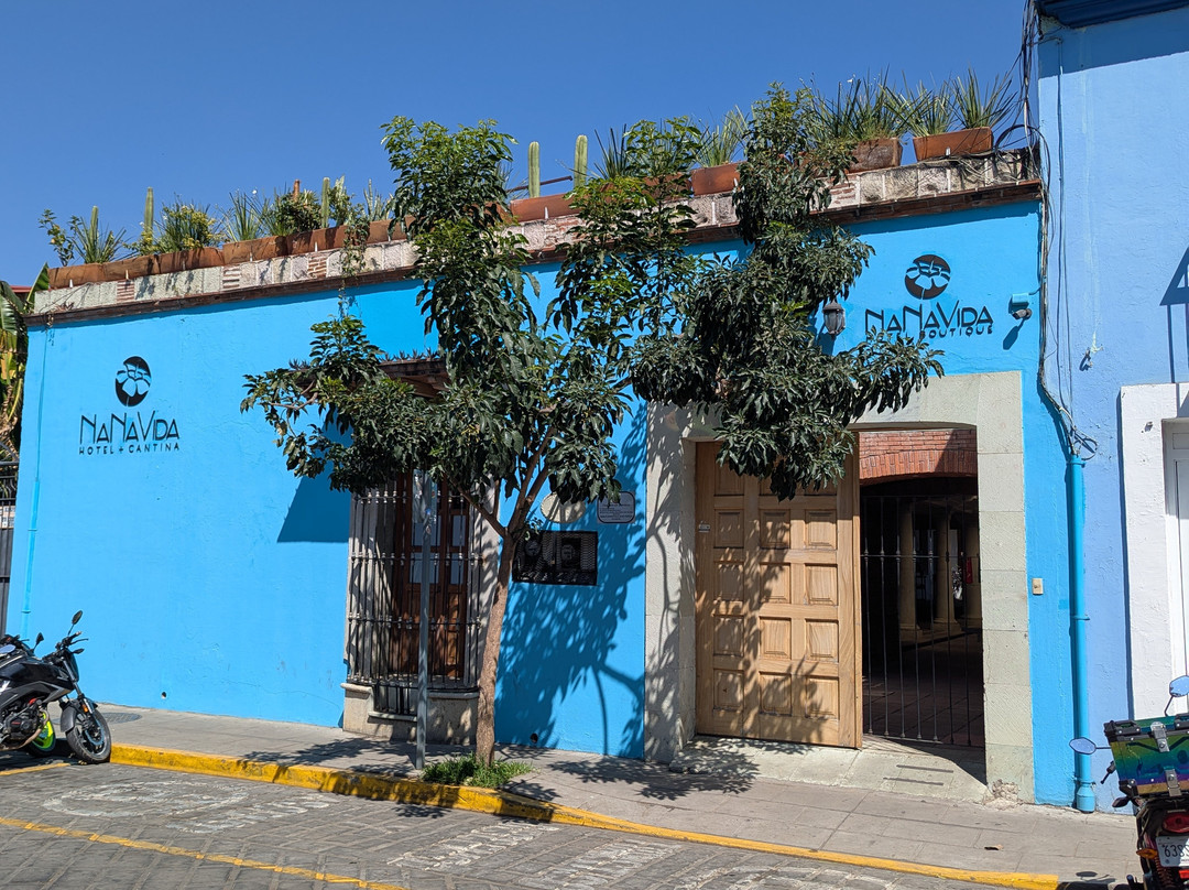 NaNa Vida Hotel Boutique Oaxaca主图