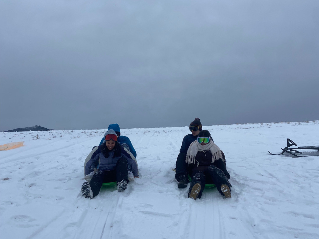 Wildflower Inn主图