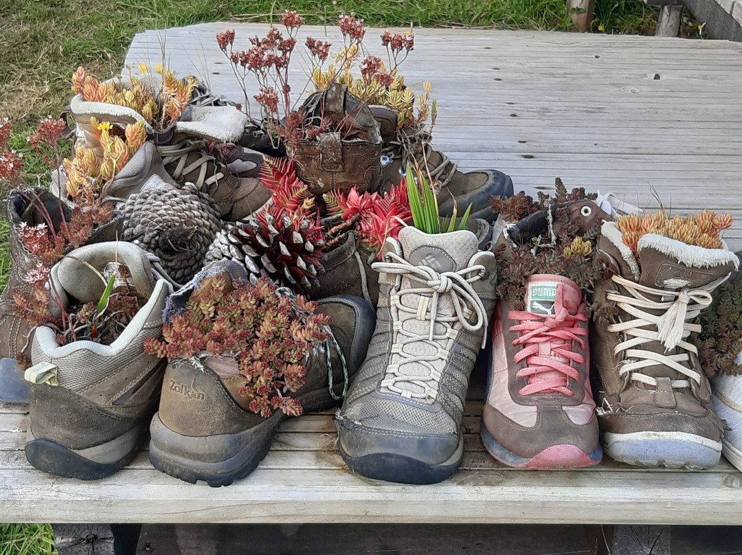 Rayen Pülli-Puqueldon必去景点