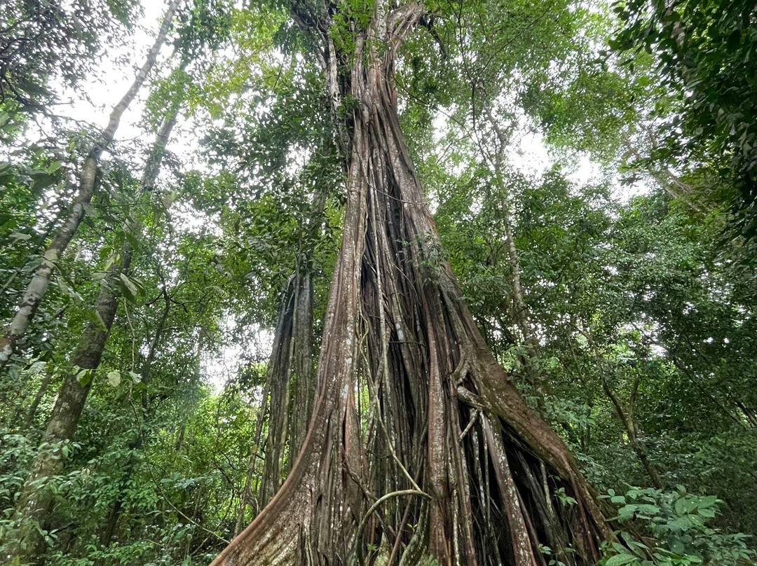 Eco Expeditions CR景点图片