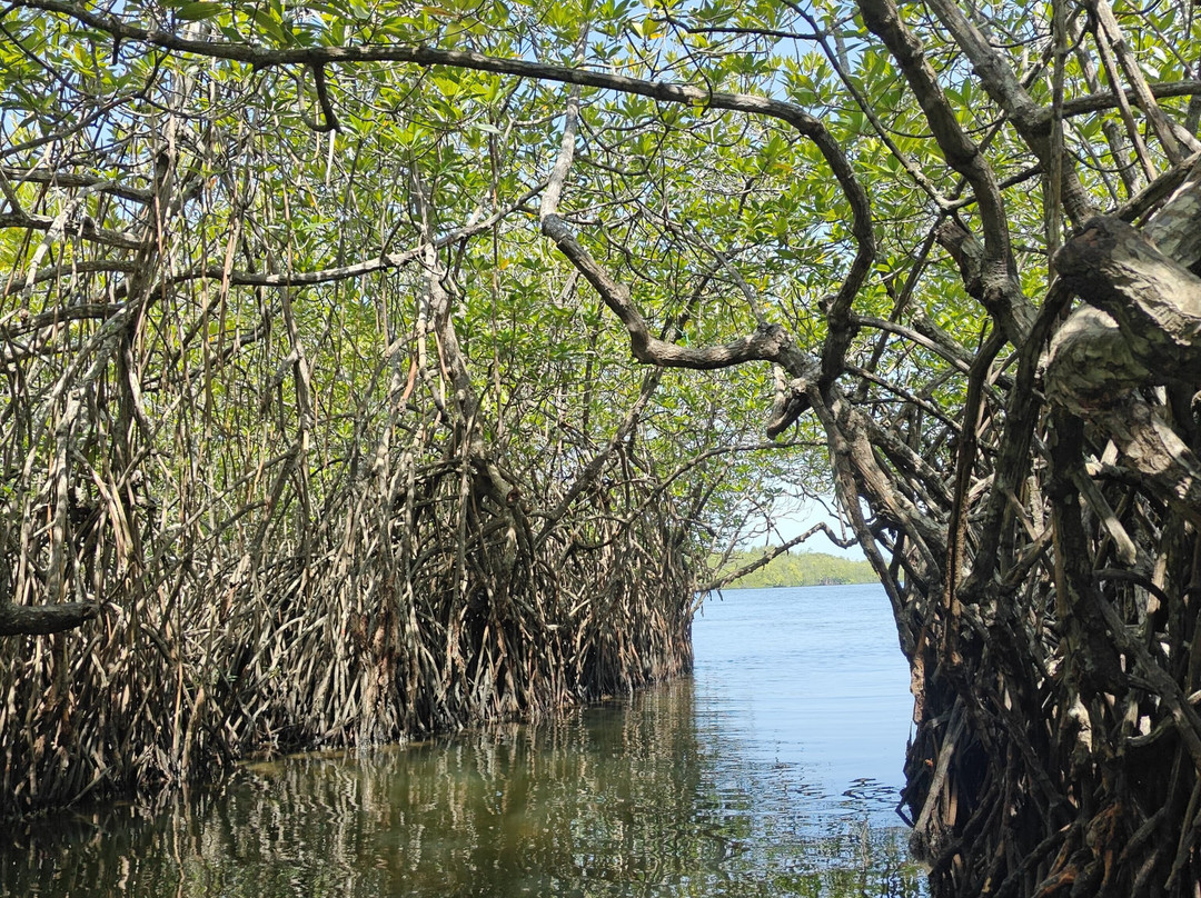 Bookingmart Holidays (pvt) Ltd-科伦坡必去景点