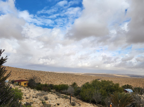 沙漠庄园卡梅·阿夫达特主图