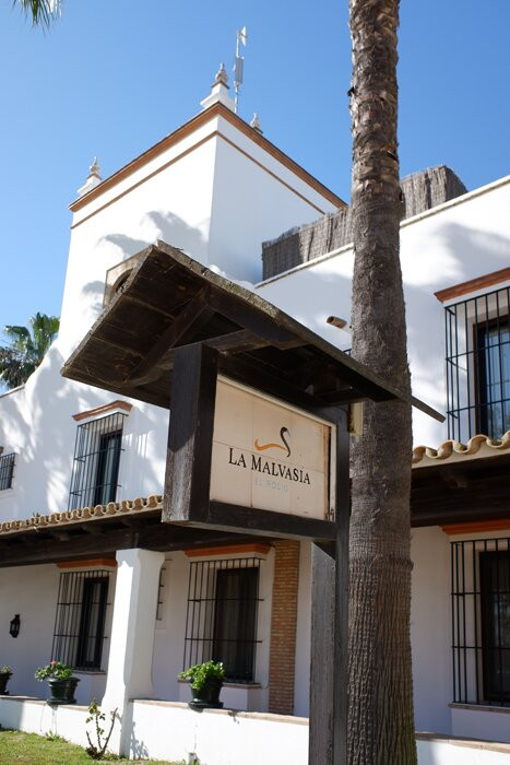 Hotel La Malvasía主图