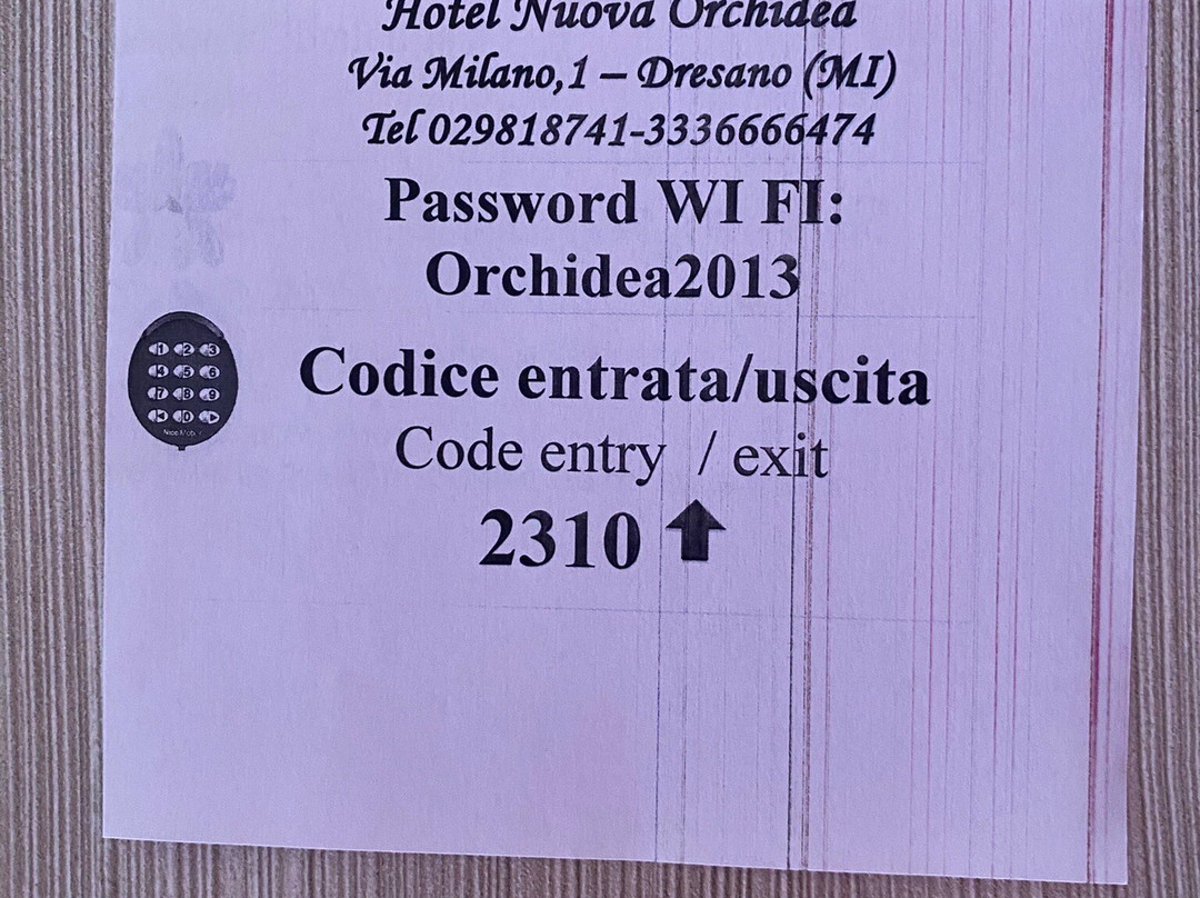 Hotel Nuova Orchidea主图
