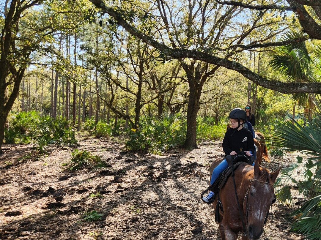Wagon Wheel Horse Farm-奥基乔比必去景点