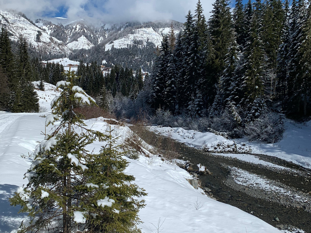 Der Paternwirt主图