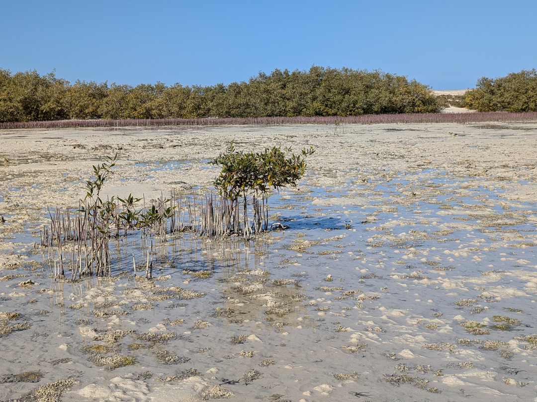 Wadi El Gemal National Park-马萨阿拉姆必去景点