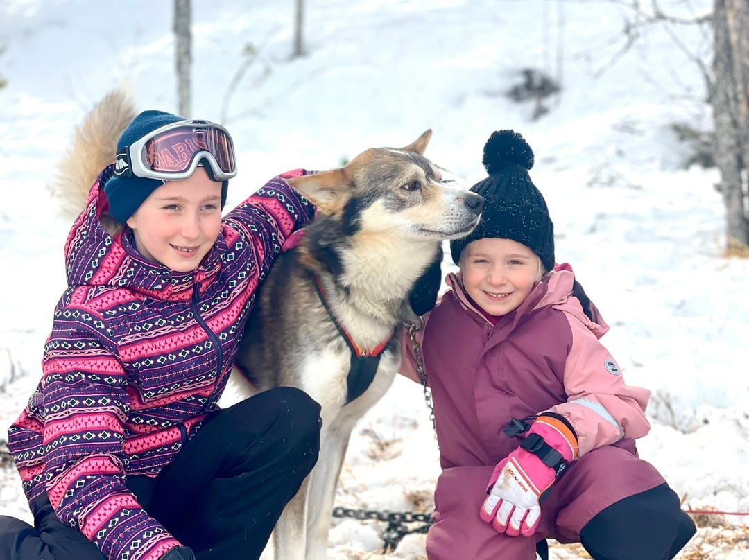 Trysil Husky景点图片