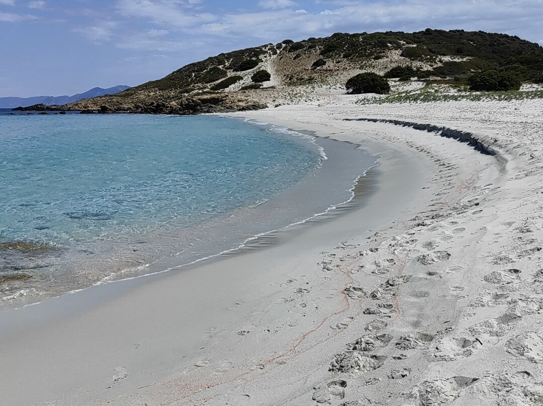 Plage de Saleccia-Santo-Pietro-di-Tenda必去景点