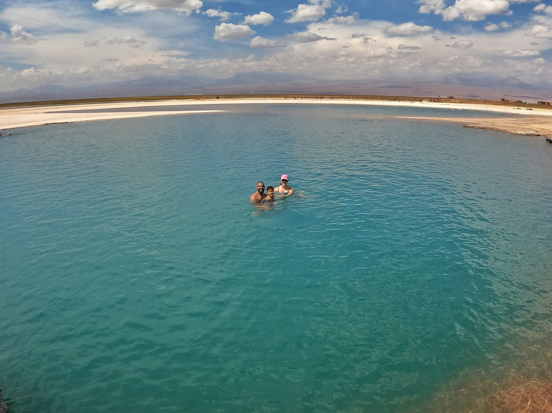 Viajar en Chile-普孔必去景点