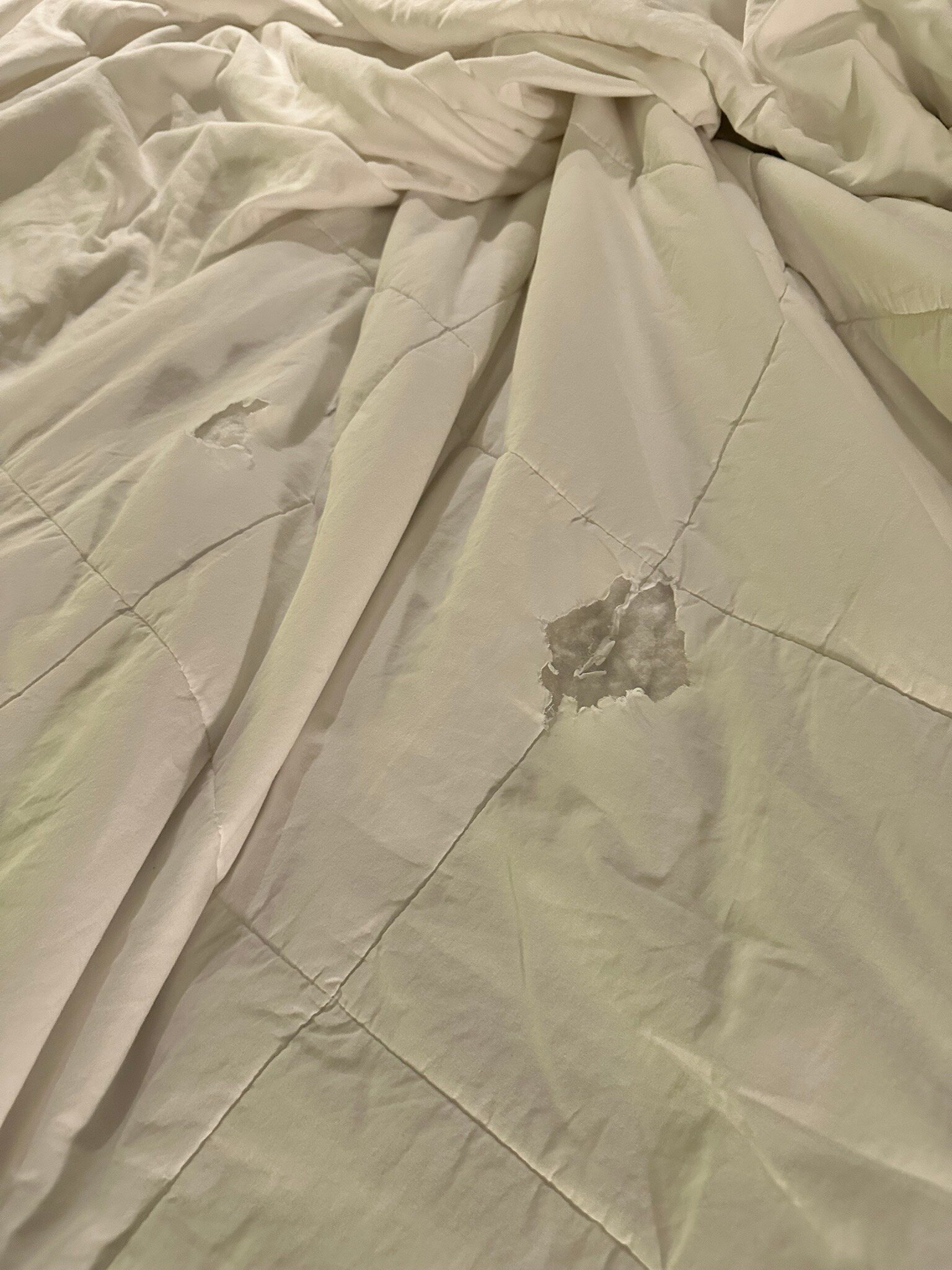 avid Hotel Fort Mill - Carowinds Blvd by IHG-官方