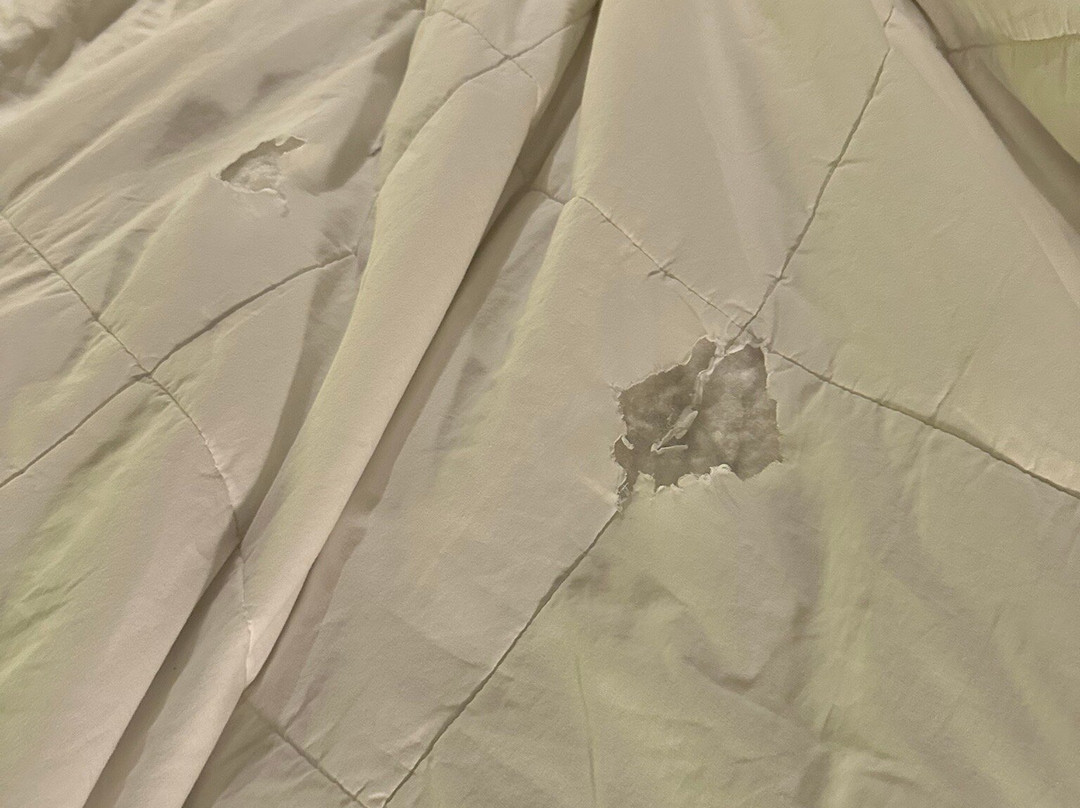 avid Hotel Fort Mill - Carowinds Blvd by IHG主图