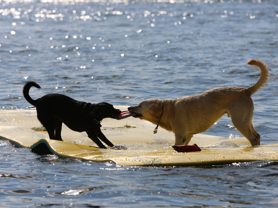 Eleven Gables Inn And Cottage主图