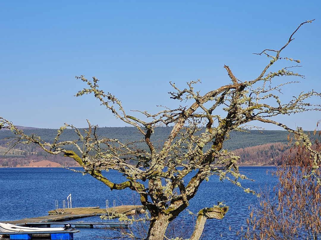 Landal Kielder Waterside景点图片