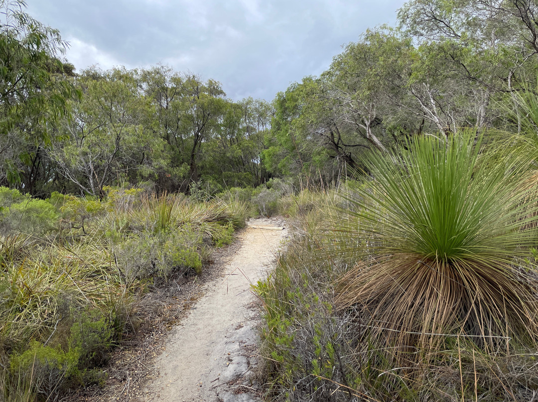 Two Peoples Bay Nature Reserve-奥尔巴尼必去景点