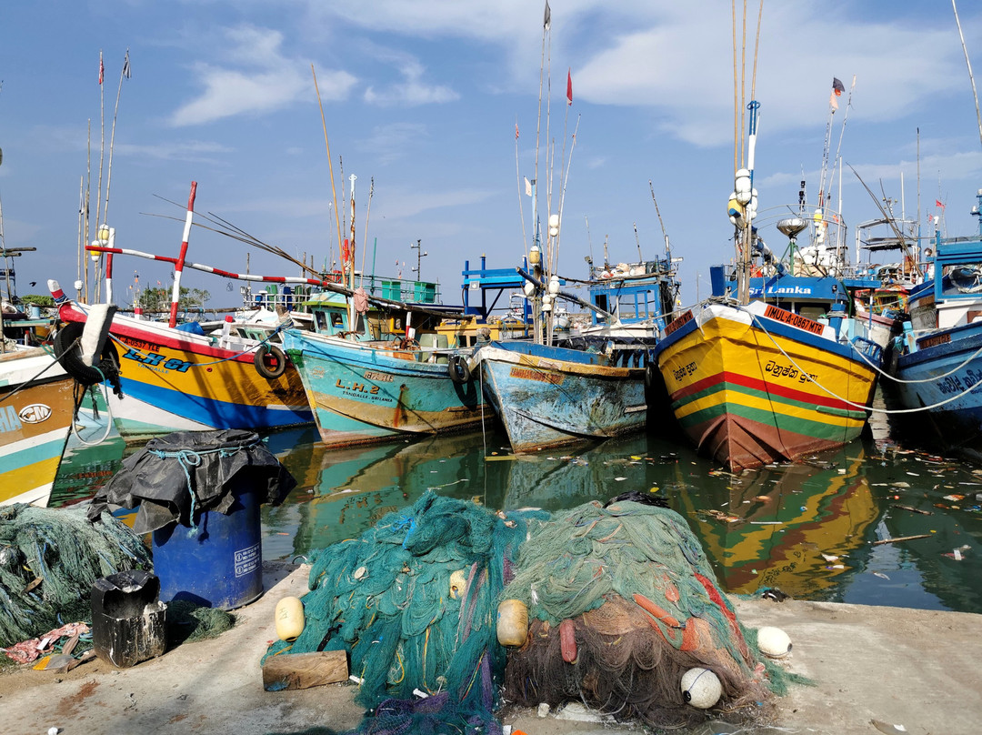 Sri Lanka Tour Guides景点图片