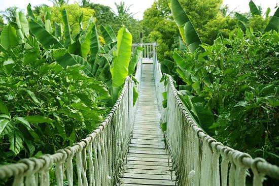 索尼娃芙西度假村主图