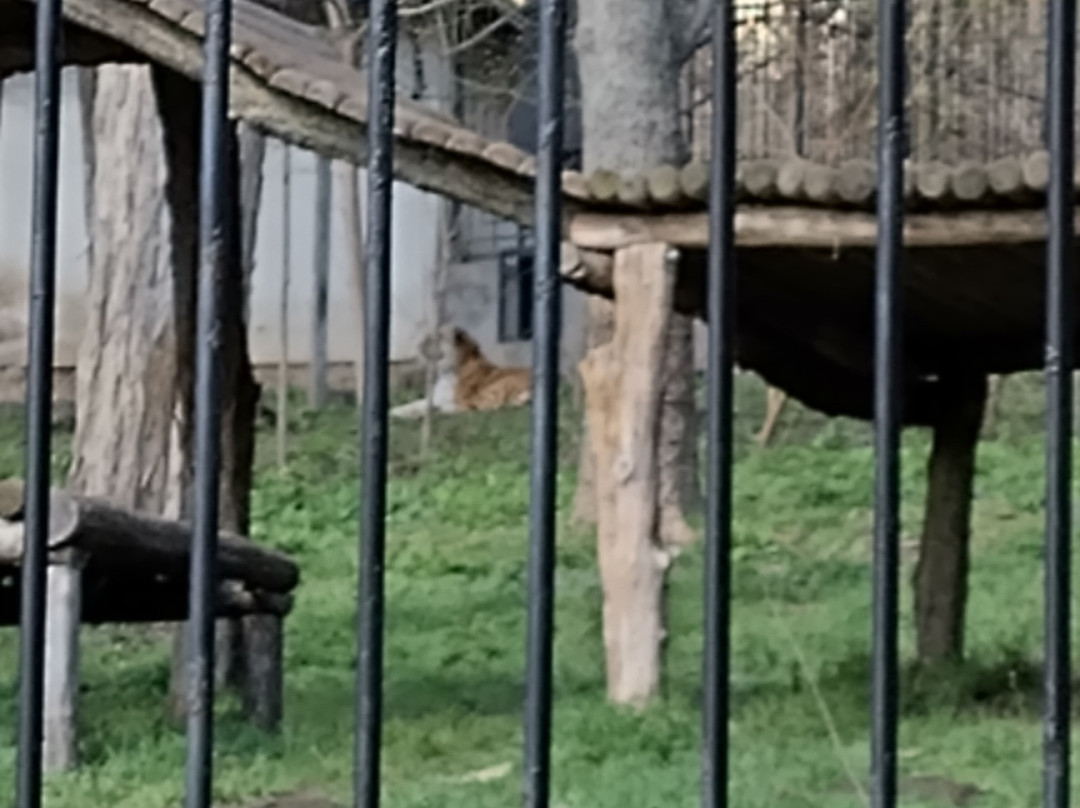 Chisinau Zoo-基希讷乌必去景点