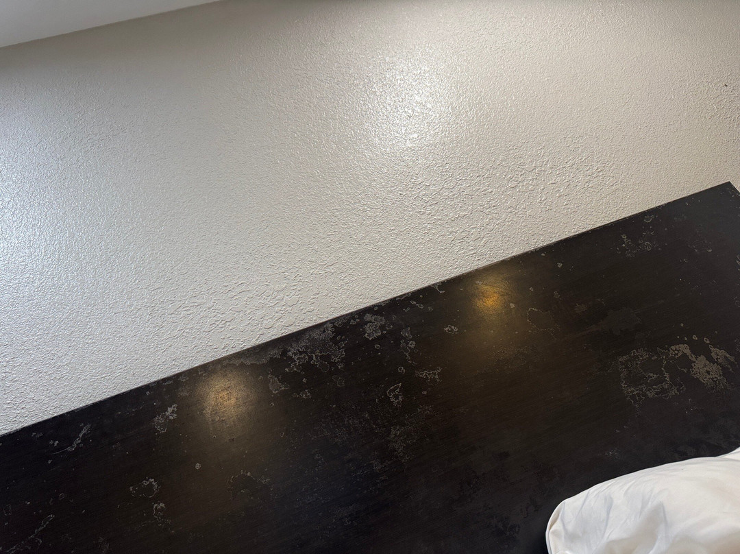 Sleep Inn North Knoxville主图