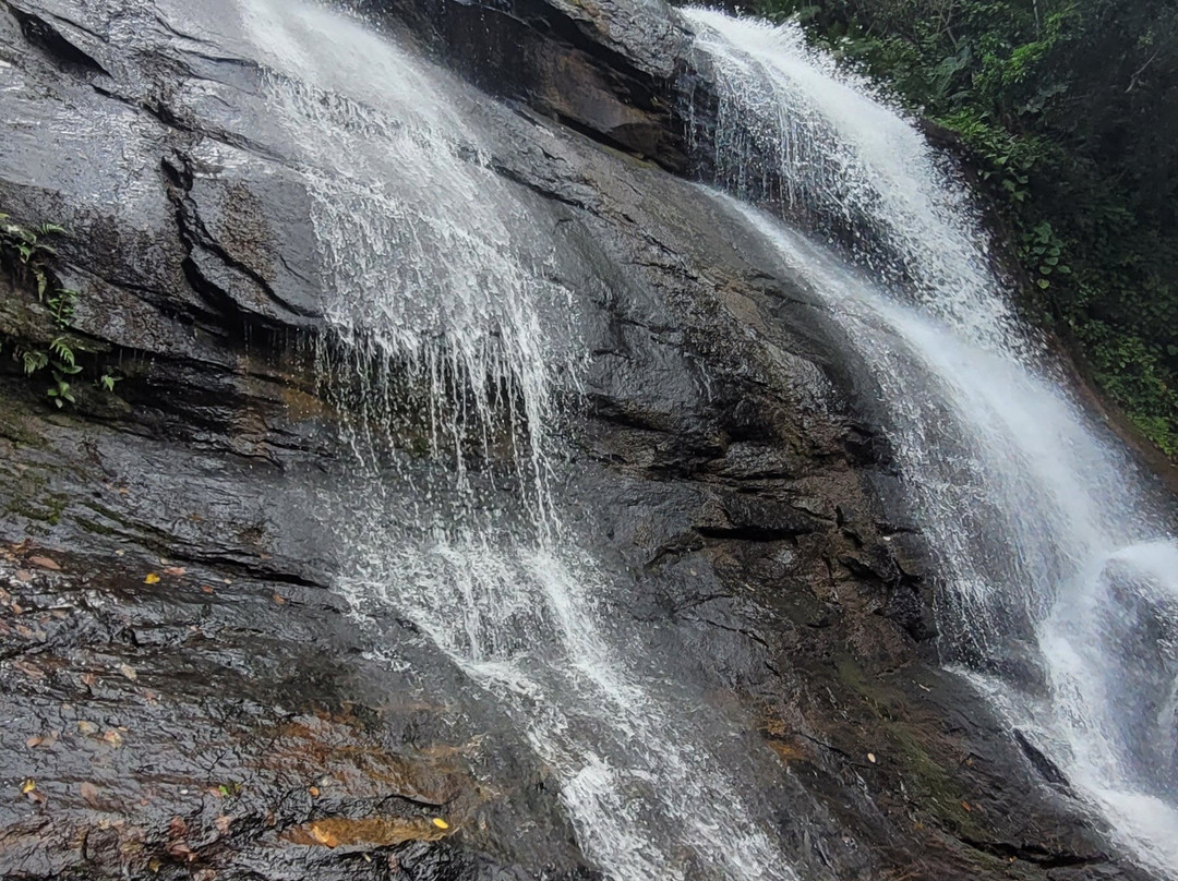 Cachoeira do Tiririca-Murici必去景点