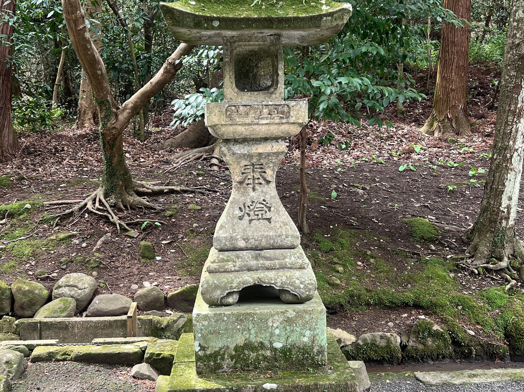 Usa Jingu Shrine Torii-宇佐市必去景点