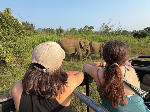 Kavi Jeep Safari-锡吉里亚必去景点