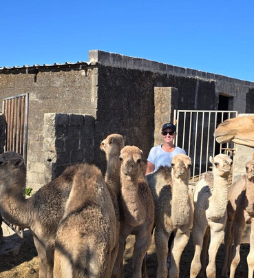 Ghudu Project-塞拉莱必去景点