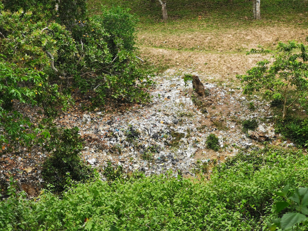 白马市国家公园-白马必去景点