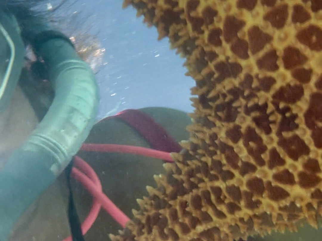 Cayenasam Travel and Tours-拉斯特拉纳斯必去景点