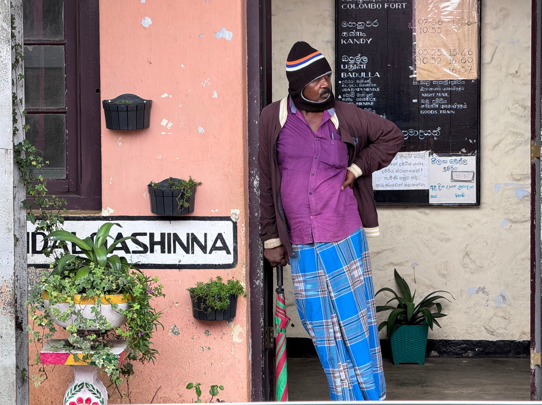 Nanuoya To Ella Train Ride