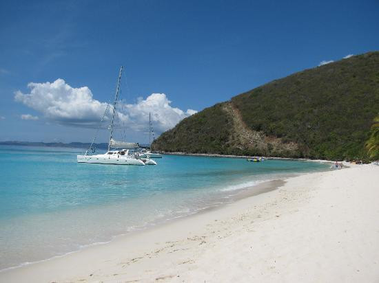 Perfect Pineapple Guest Houses主图