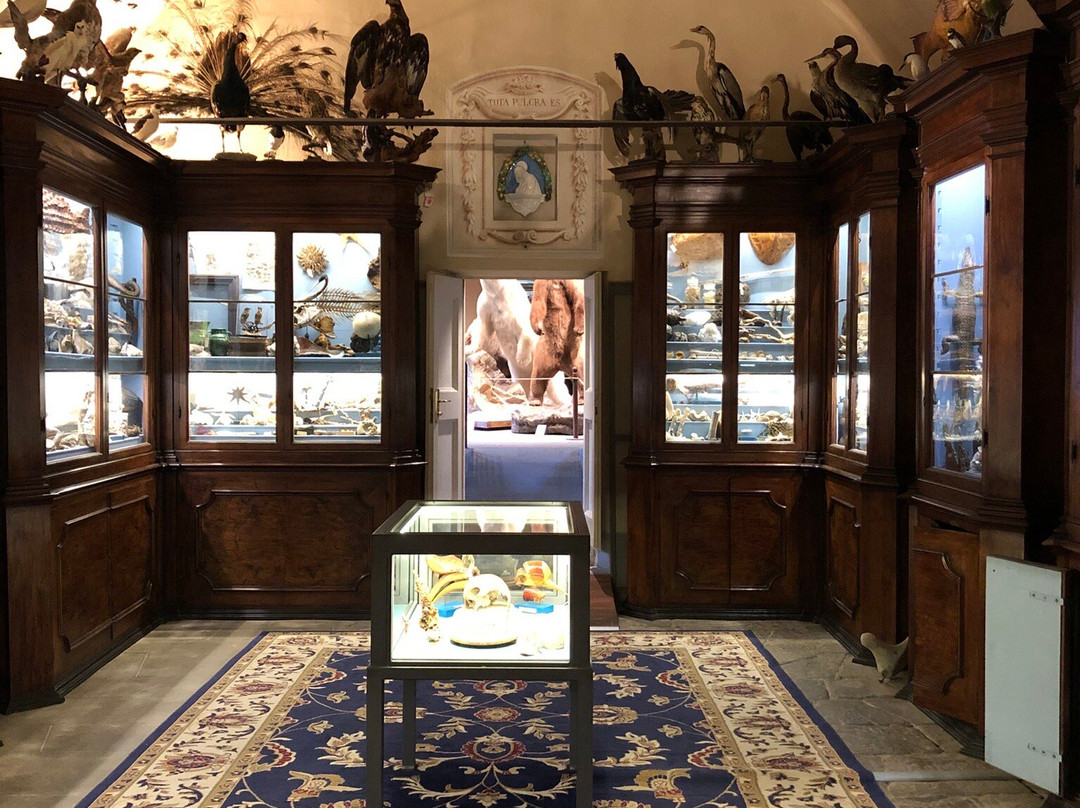 Museo di Storia Naturale - Universita di Pisa景点图片