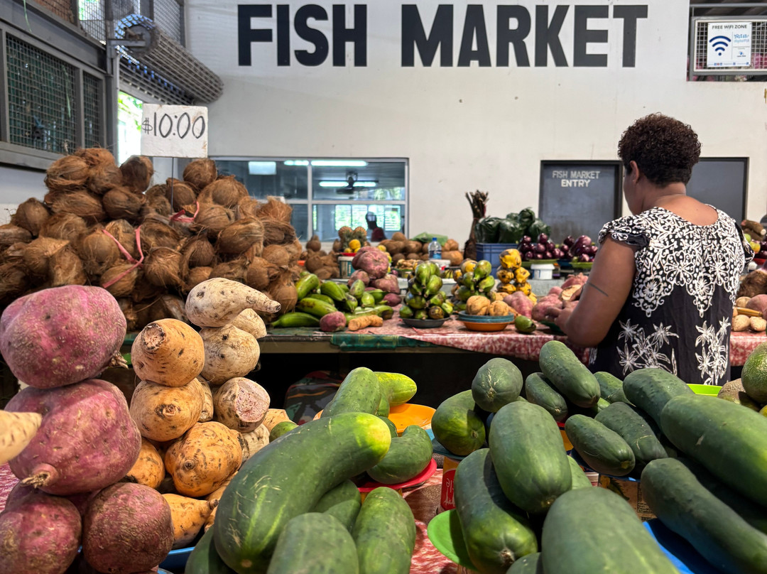 Epic Transfer and Tours Fiji-纳迪市必去景点