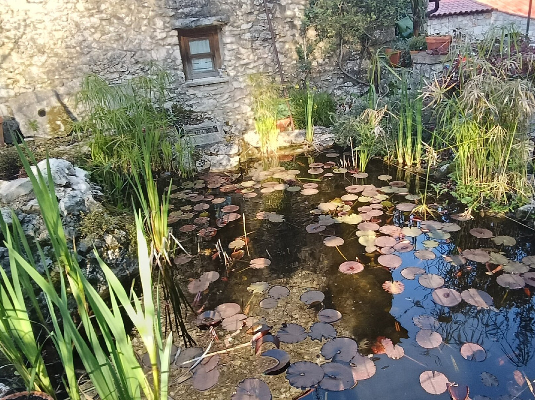 Ecoparque Sensorial da Pia do Urso景点图片