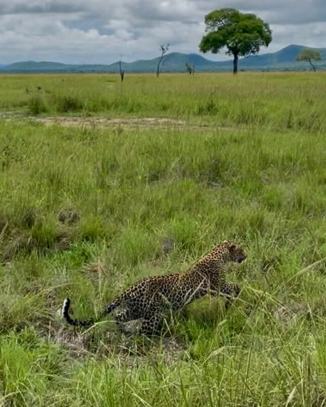 WE CAB TOURS & SAFARIS-桑给巴尔市必去景点