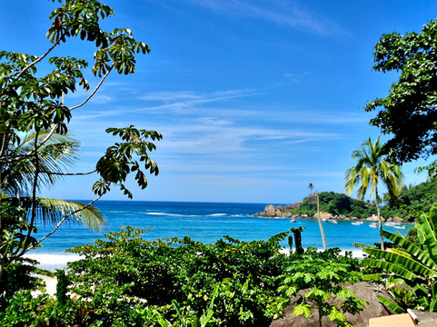 De Palmas Turismo-里约热内卢必去景点