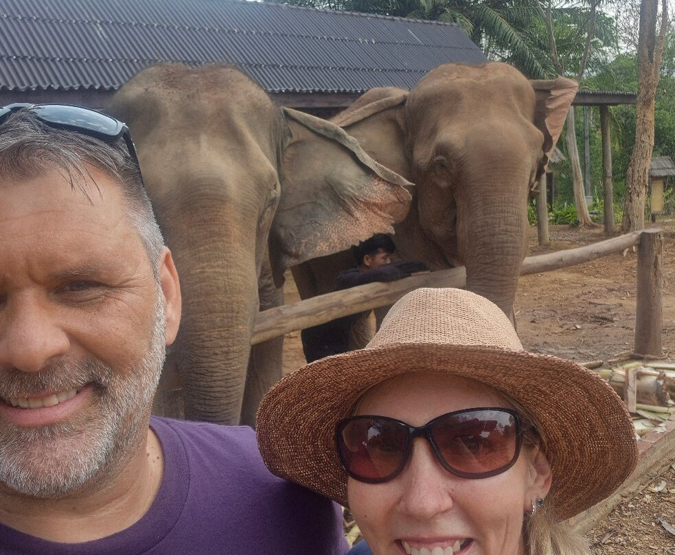Elephant Village Sanctuary & Resort-琅勃拉邦必去景点