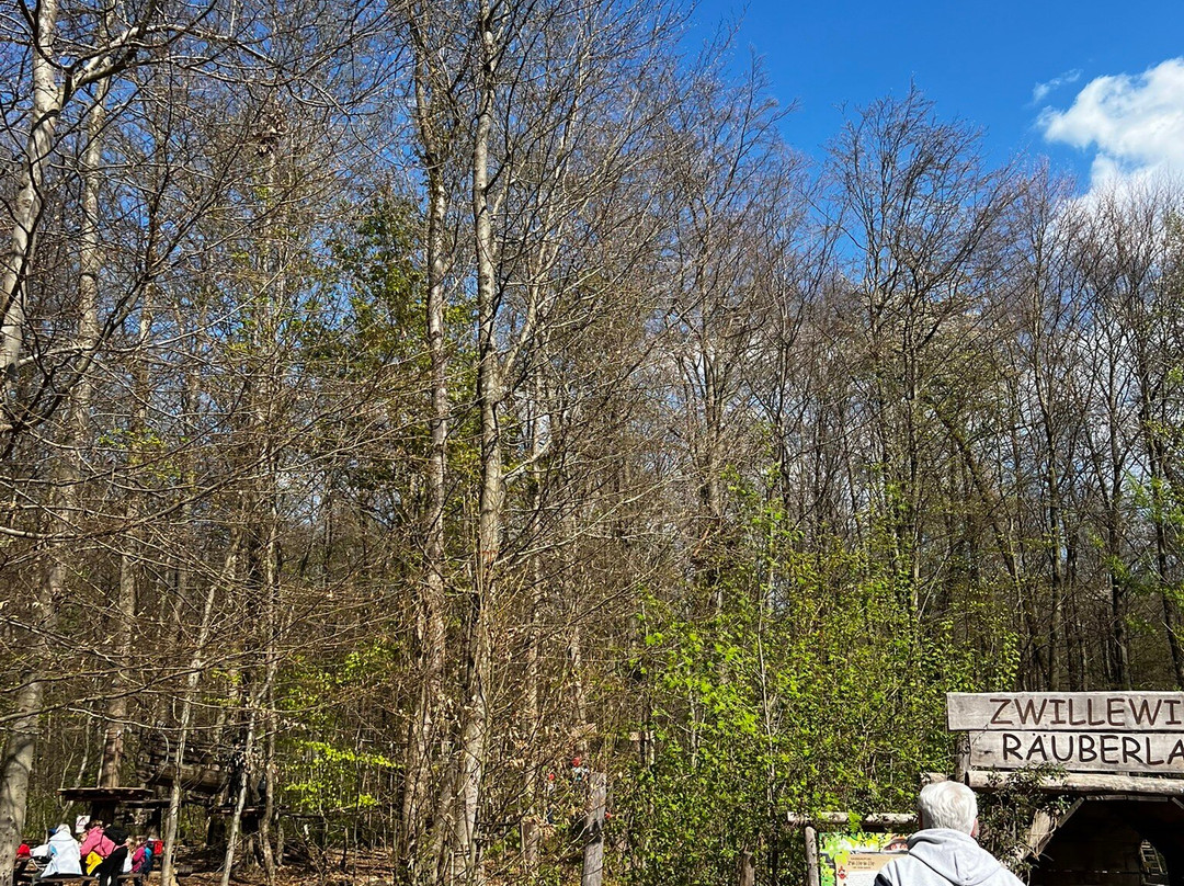 Kletterwald Neroberg-威斯巴登必去景点