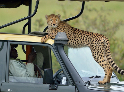 Sabilom Kenya Tours and Safaris-蒙巴萨必去景点