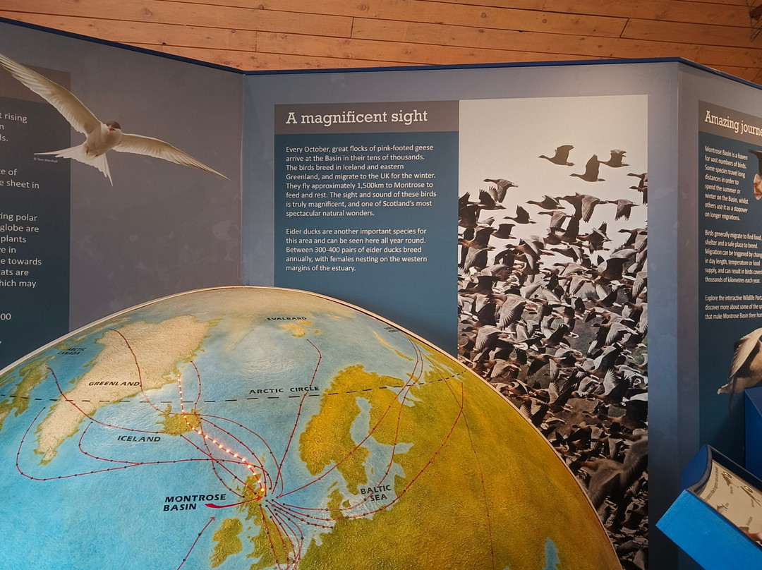 Montrose Basin Visitor Centre, Scottish Wildlife Trust景点图片