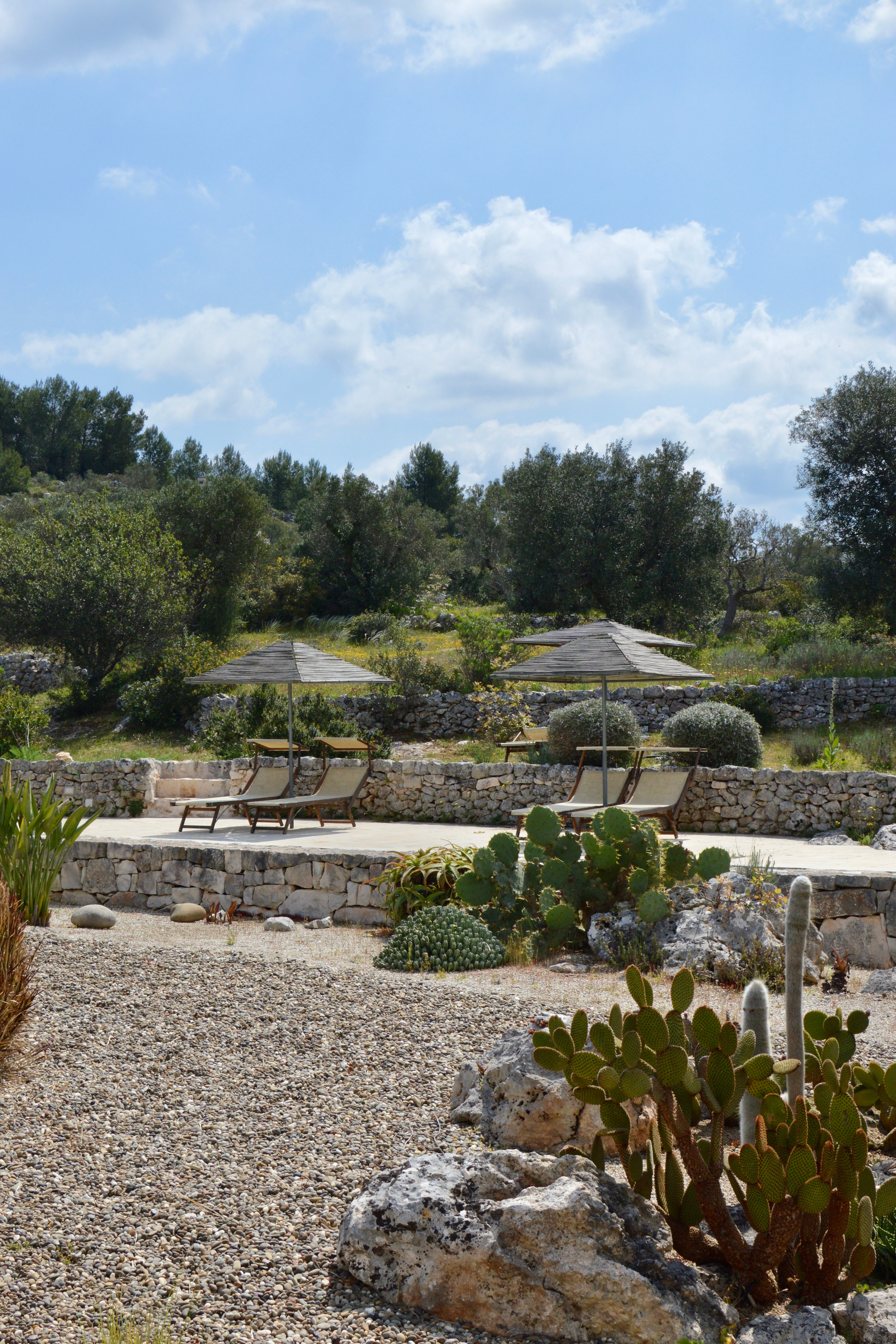 Regina di Ulivi-官方