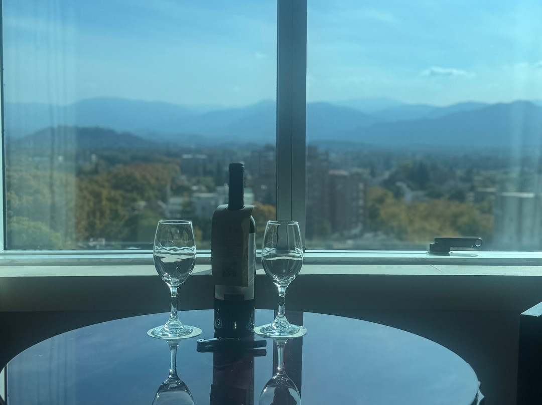 Diplomatic Hotel主图