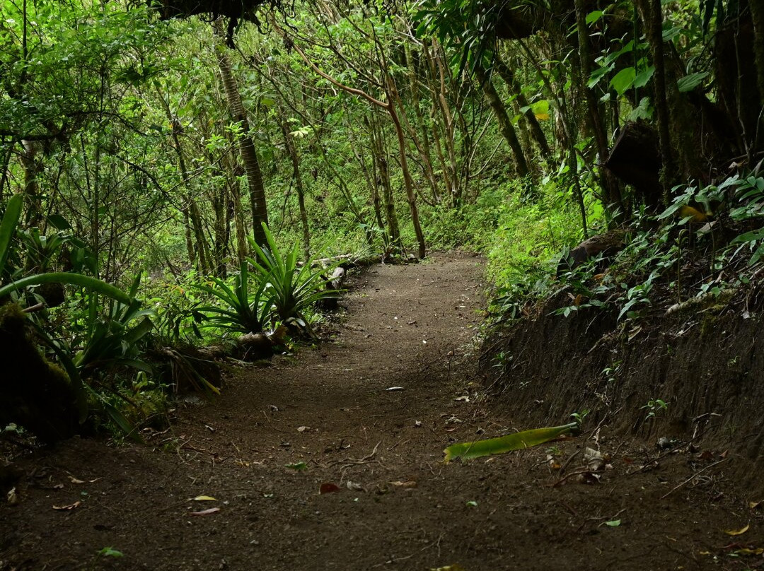 Avancarí Nature Reserve-蒙特沃德必去景点