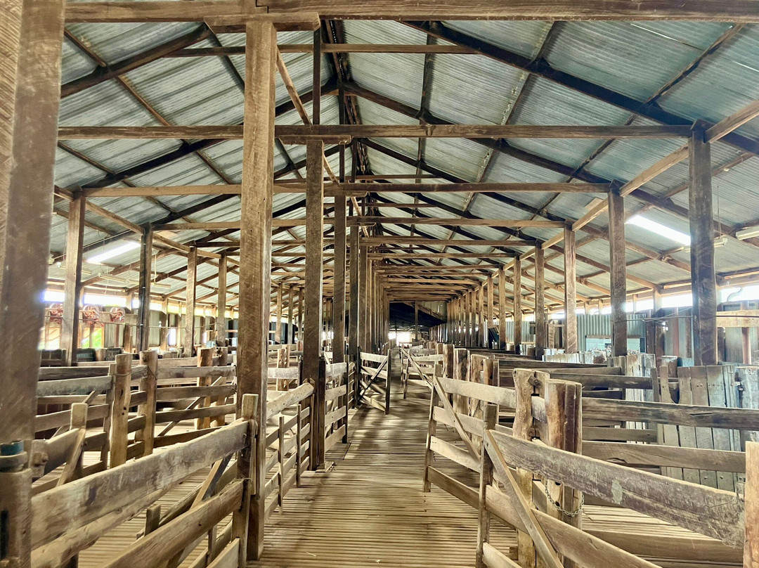 Yanga National Park-Balranald必去景点