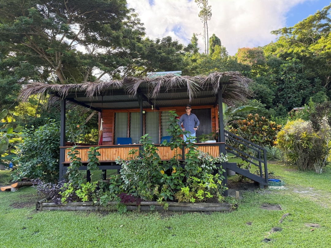 Dive Academy Fiji-Waiyevo必去景点