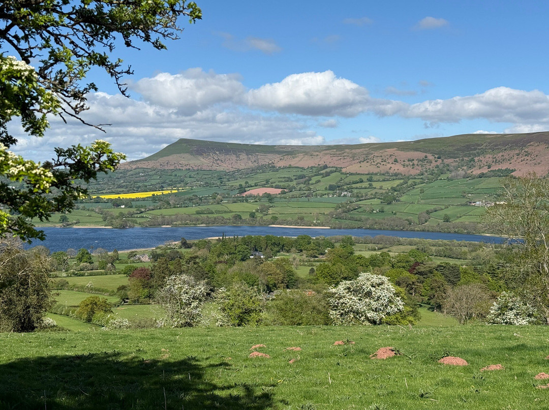 The Star Bunkhouse主图