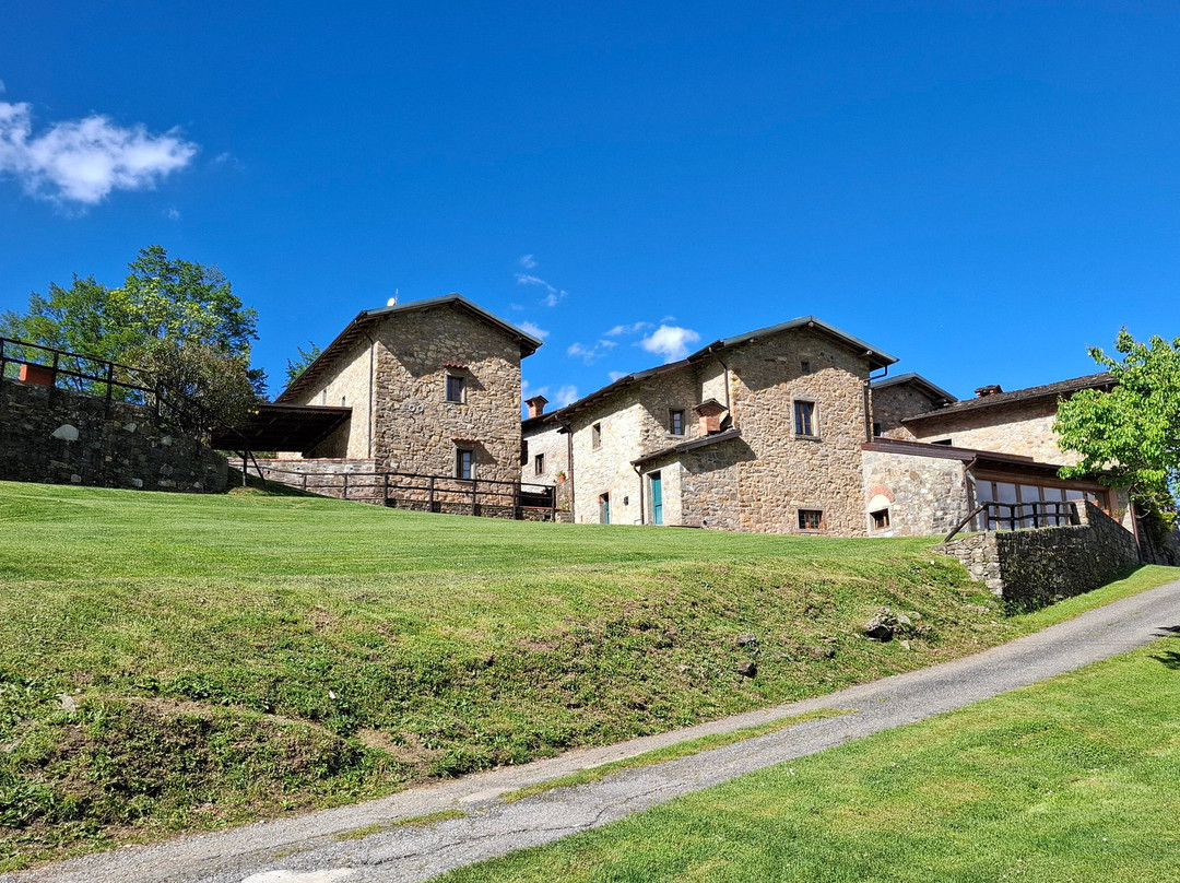 Azienda Agrituristica Costa d'Orsola主图