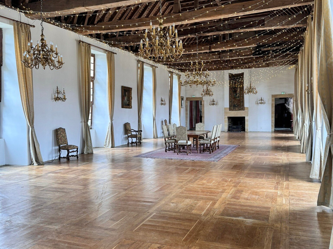 Chateau de Jumilhac景点图片