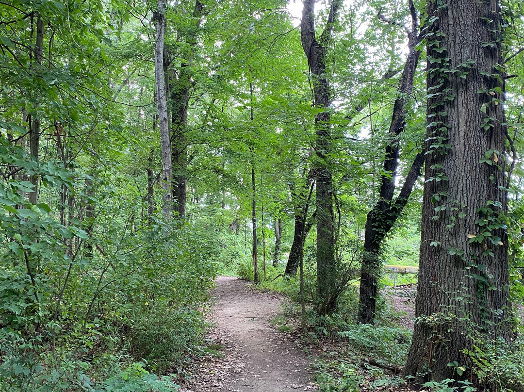 Portage Lakes State Park-阿克伦必去景点